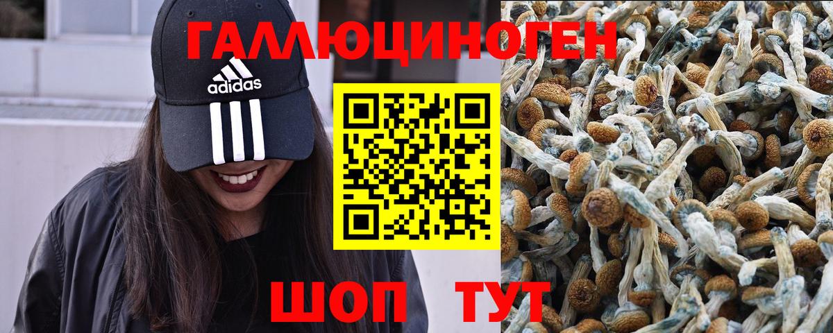 Галлюциногенные грибы мухоморы  Вход с VPN  Трёхгорный  Галлюциногенные грибы Psilocybe 